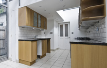 Clive Green kitchen extension leads